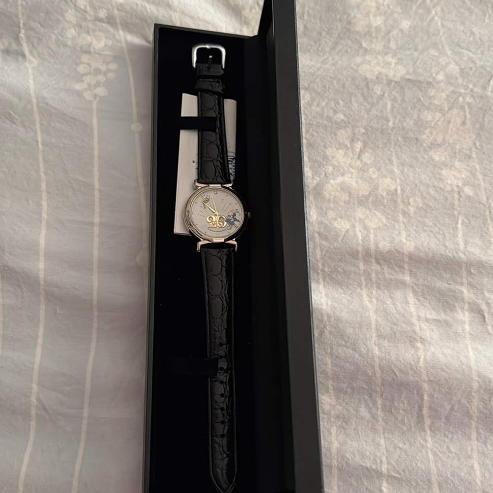 Disneyland Tokyo Watch